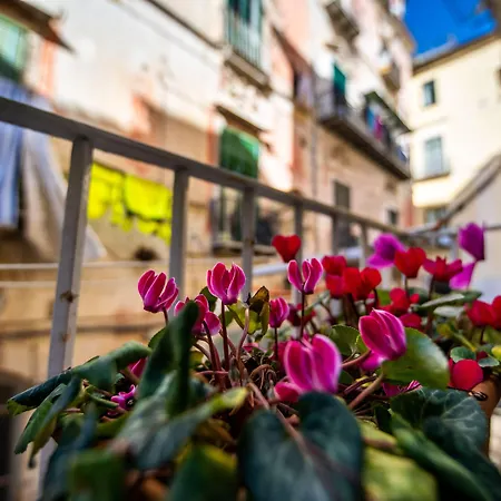 Terre Dipinte Salerno