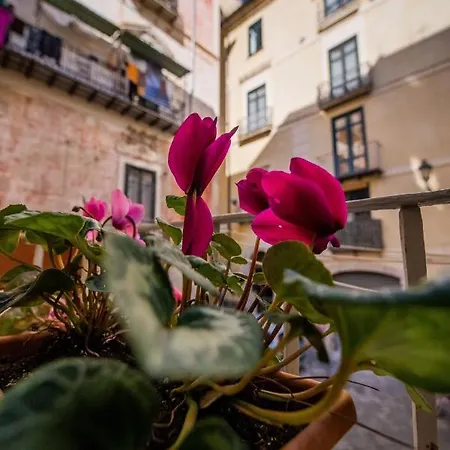 ベッド・アンド・ブレックファスト Terre Dipinte 3*