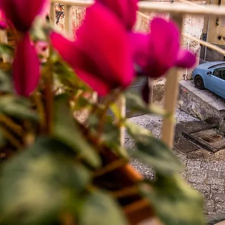 Terre Dipinte ベッド・アンド・ブレックファスト