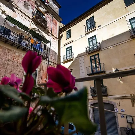 Terre Dipinte Bed and breakfast Salerno
