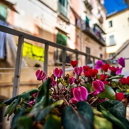 Terre Dipinte Bed & Breakfast