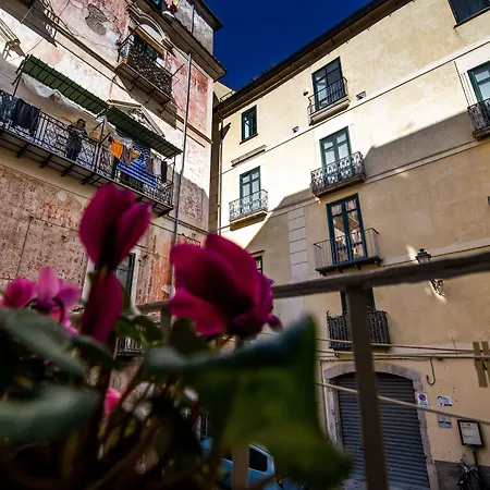Terre Dipinte 4* Salerno