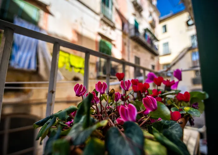 Terre Dipinte Salerno